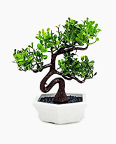 bonsai-artificiel-